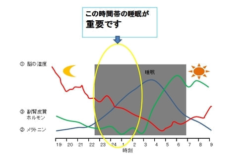 眠りのメカニズム