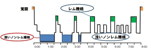 見城聖人の典型的な夜間睡眠パターン